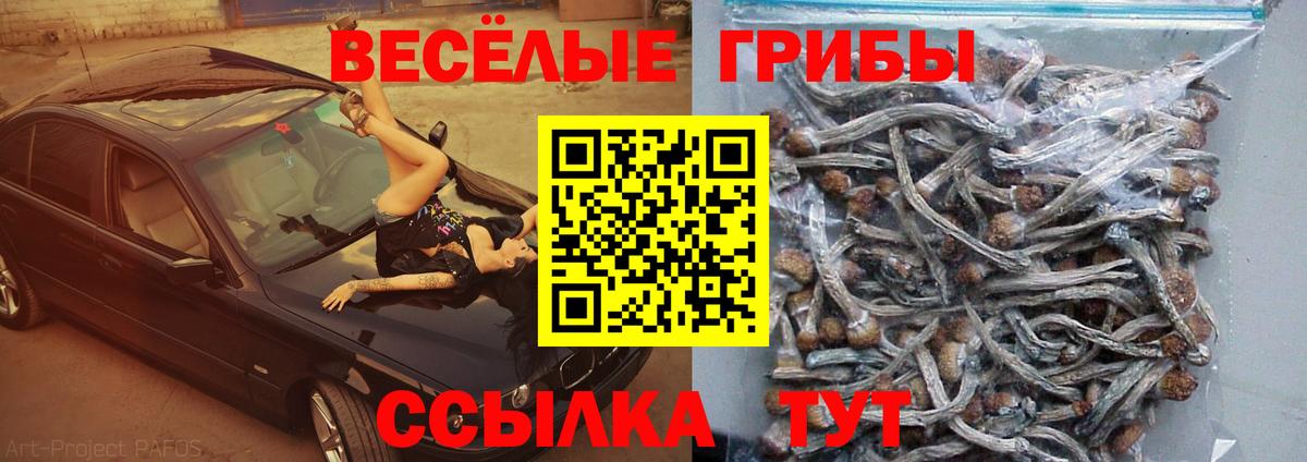 Псилоцибиновые грибы ЛСД  Вход с VPN  Людиново 